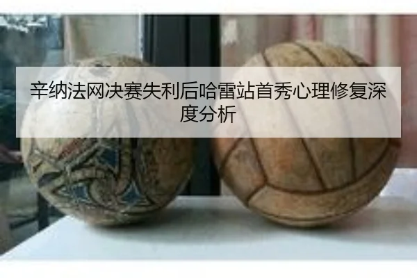 xin-na-fa-wang-jue-sai-shi-li-hou-ha-lei-zhan-shou-xiu-xin-li-xiu-fu-shen-du-fen-xi-2-329.jpg